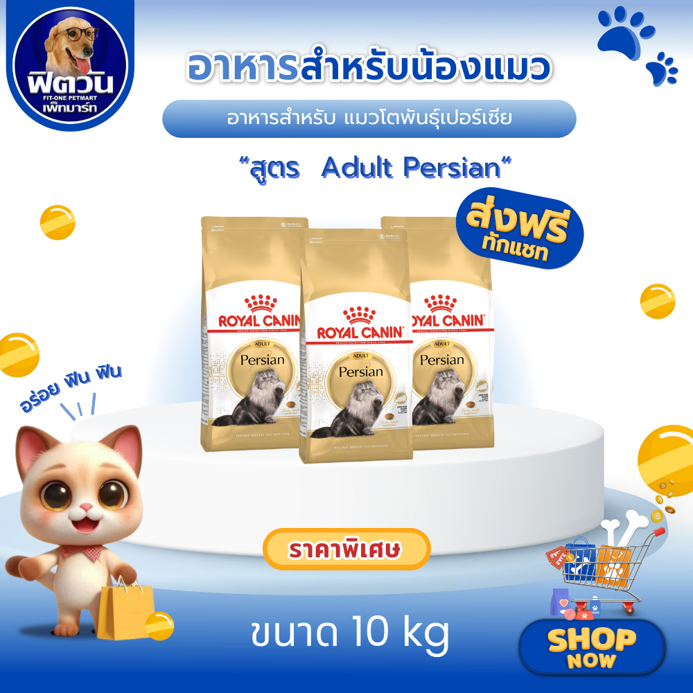 ROYAL CANIN-Persian (ADULT) อาหารแมวโต1ปีขึ้นไป-พันธุ์เปอร์เซีย บำรุงผิวหนังและขน 10 KG.