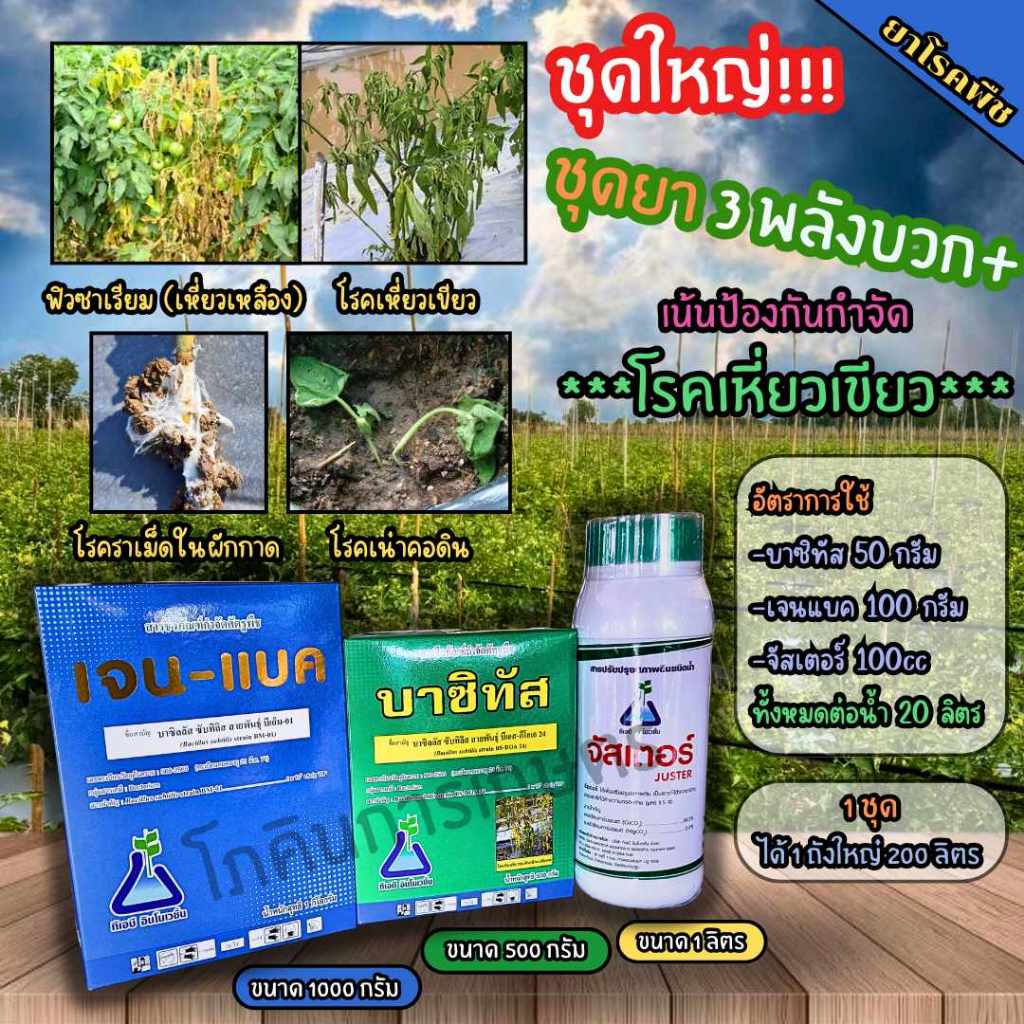 ชุดยาป้องกันกำจัดโรคเหี่ยวเขียว 3 พลังบวก+