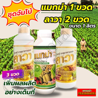 แมกม่าลาวา แมกม่า (1000 ซีซี 1 ขวด) ต้านเพลี้ยลดการหลุดร่วง …