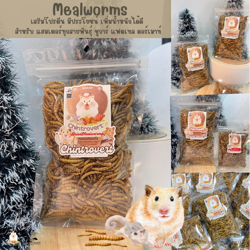 Chintrovert | หนอนอบแห้ง 20g-50g | เพิ่มโปรตีน แคลเซี่ยม สำหรับ แฮมเตอร์ ชูการ์ ดอร์เมาท์ แฟตเทล และสัตว์ที่กินแมลง