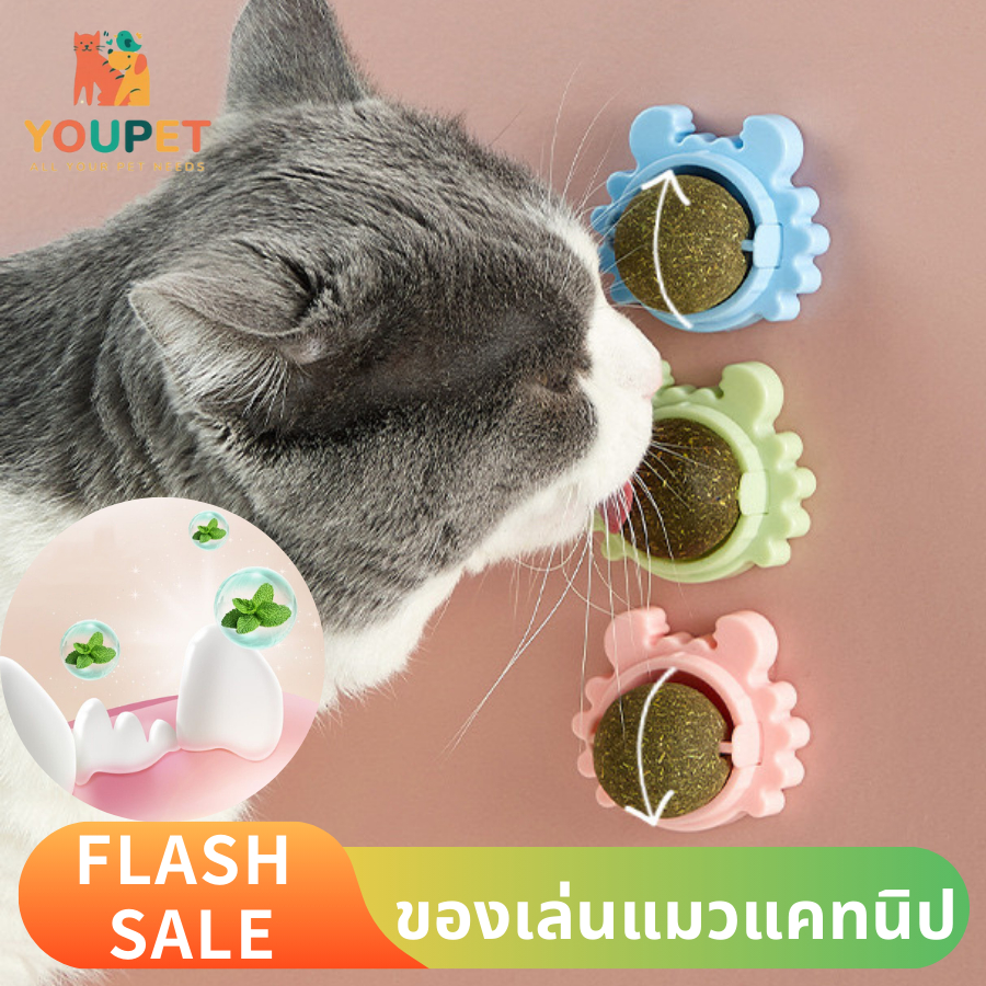 แคทนิปเลียสัตว์เลี้ยง แคทนิปบอล ทรงปู ออร์แกนิค ติดกำแพง ไม่กลิ้งหาย พร้อมส่งในไทย