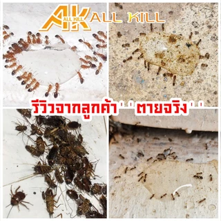 กำจัดมด # เจลกำจัดมด แมลงสาบ แมลงวัน ไม่ฟุ้งกระจาย AK.ALLKILL ขนาด 20 ml