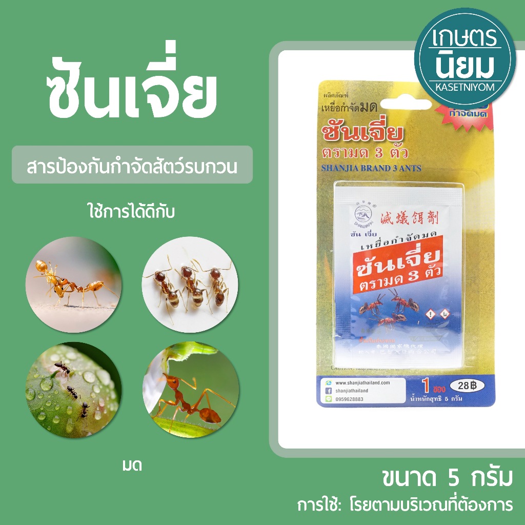 ซันเจี่ย ตรามด 3 ตัว (เหยื่อกำจัดมด) แผงเล็กขนาด 5 กรัม
