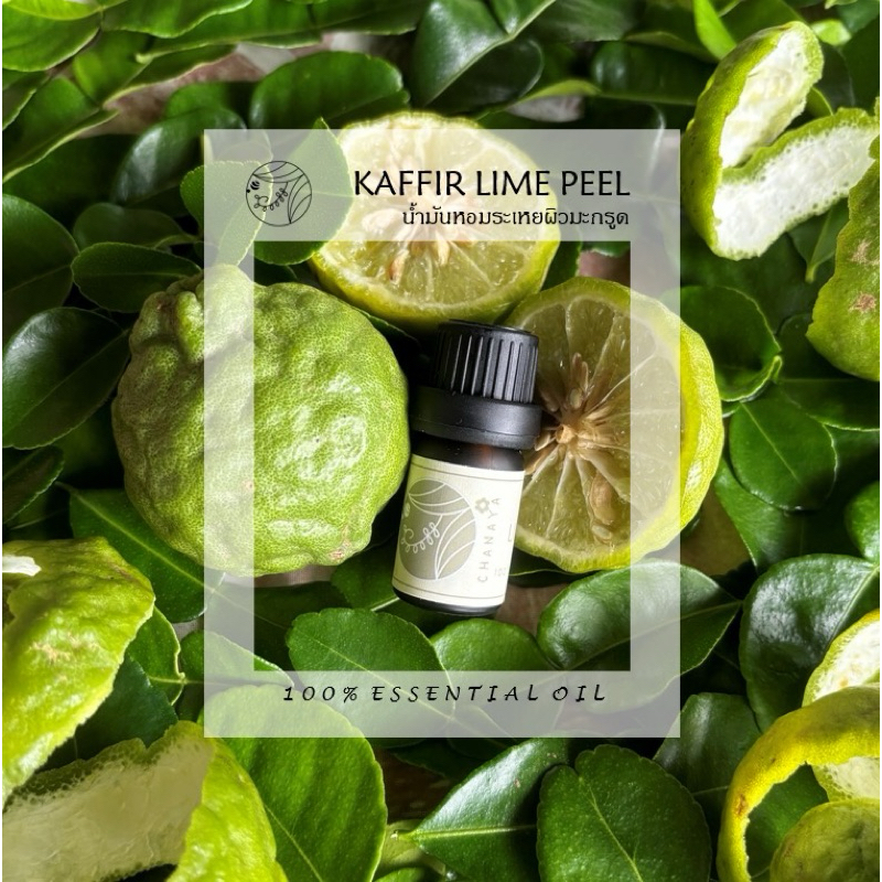 น้ำมันหอมระเหยผิวมะกรูด ชานาญา CHANAYA Kaffir lime peel 100% Essential oil