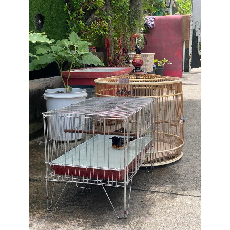 กรงอาบน้ำนกนำเข้าอิโด33*55*27 สูงรวมขา40 ซี่1.5cm