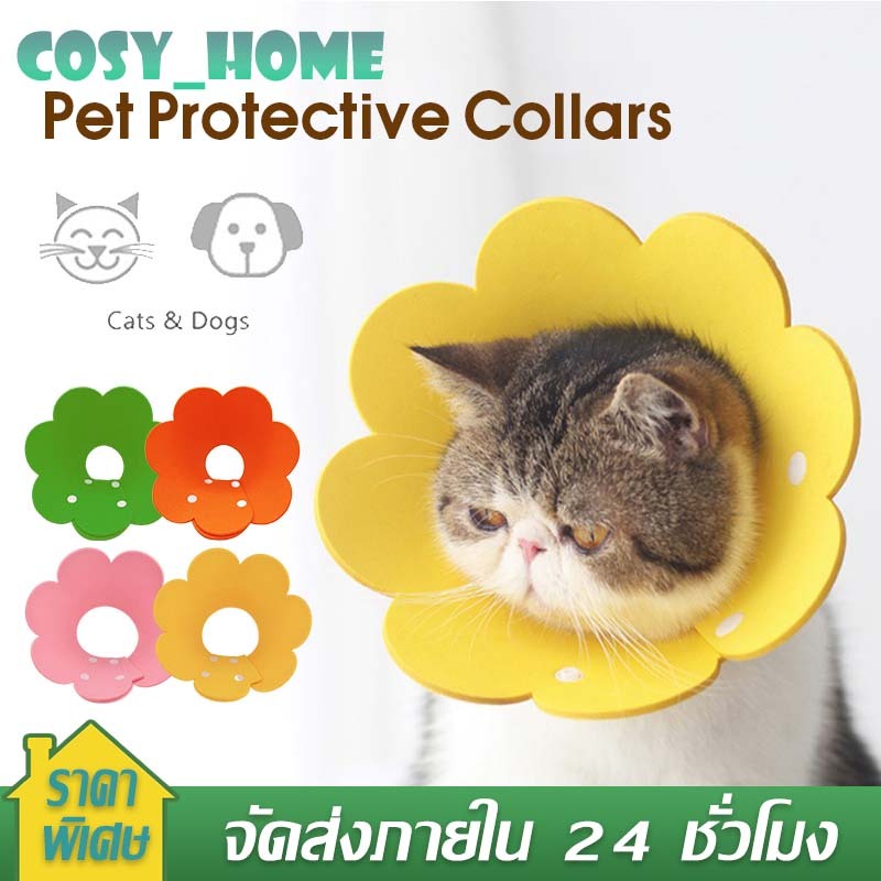 คอลล่าแมว ปลอกคอกันเลีย คอลล่าหมา สุนัข ปลอกคอดอกไม้ คอลล่าดอกไม้