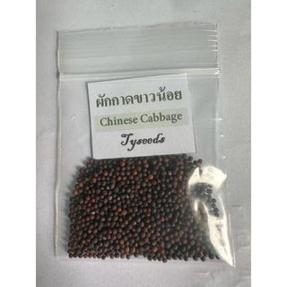 ผักกาดขาวน้อย น้ำหนัก 1 กรัม [ 10แถม2 ]คละได้