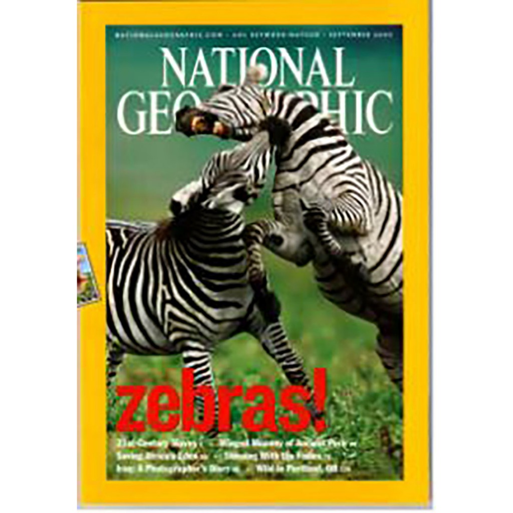 National Geographic  zebras  sep. 03  *****หนังสือมือ 2สภาพ 70%****จำหน่ายโดย  ผศ. สุชาติ สุภาพ