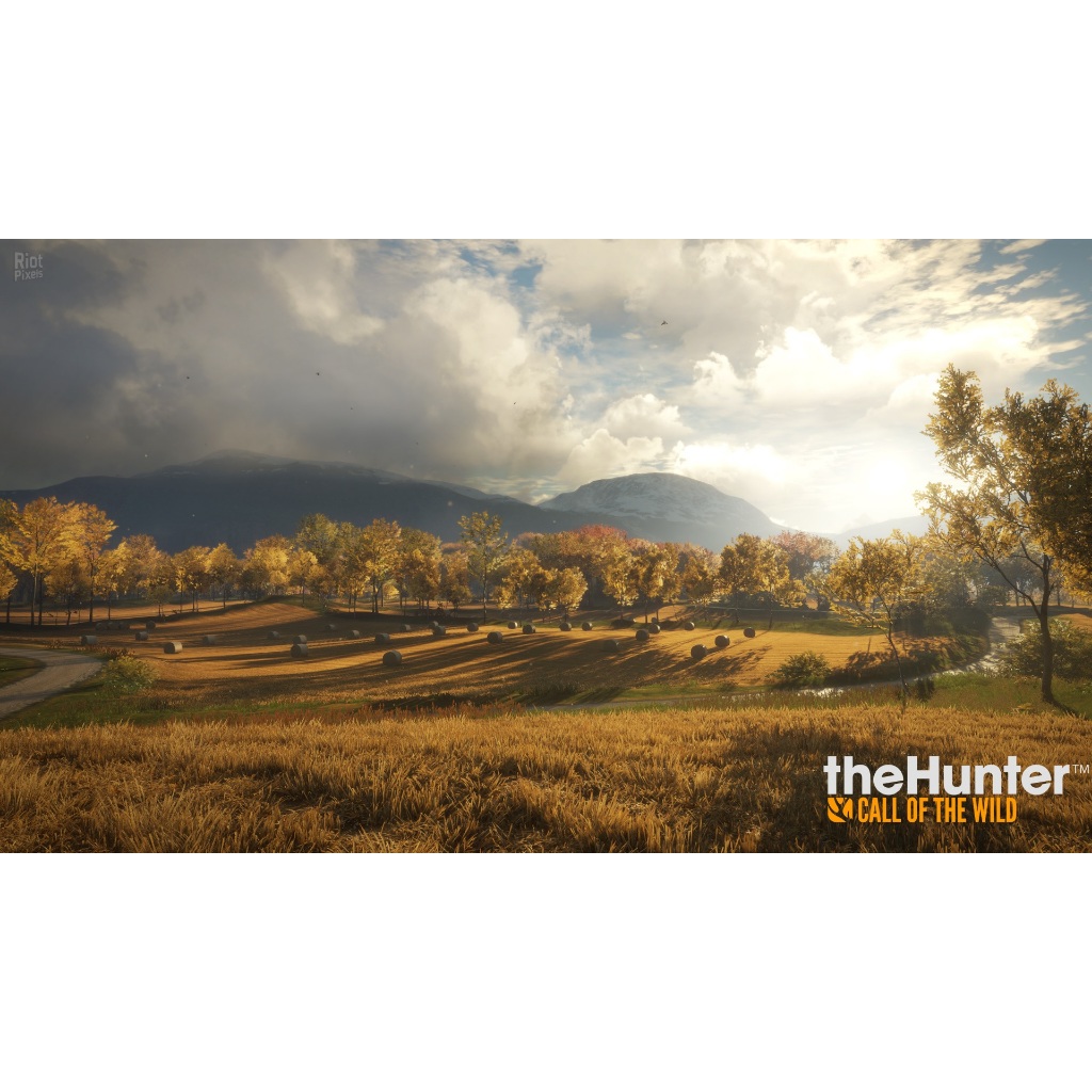 theHunter Call of the Wild เกม USB