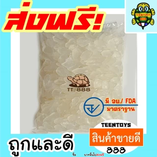 ลูกชิดอบแห้ง 250–500 กรัม [พร้อมทาน] | ลูกชิด ลูกชิดแห้ง ลูกชิดอบ เกรด AAA | ขนมธัญพืชสุขภาพ ไม่หวาน ไม่แช่น้ำเชื่อม