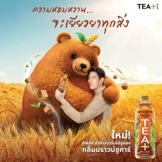 [ยกแพ็ค 24 ขวด] TEA+ ทีพลัส ชาอู่หลง สูตรกลมกล่อมและสูตรไม่มีน้ำตาล เครื่องดื่มชาอู่หลง TEA PLUS ขนาด 490ML.