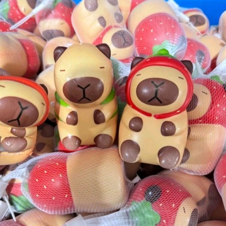 พร้อมส่ง 👉 สกุชชี่การ์ตูนเจ้าหนูคาปิบารา Capybara ** คละลาย : 1 ชิ้น