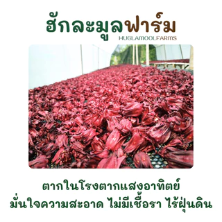 กระเจี๊ยบแดง 100กรัม จัดโปร ตราฮักละมูลฟาร์ม กระเจี๊ยบไทย กระเจี๊ยบแห้ง dried roselle