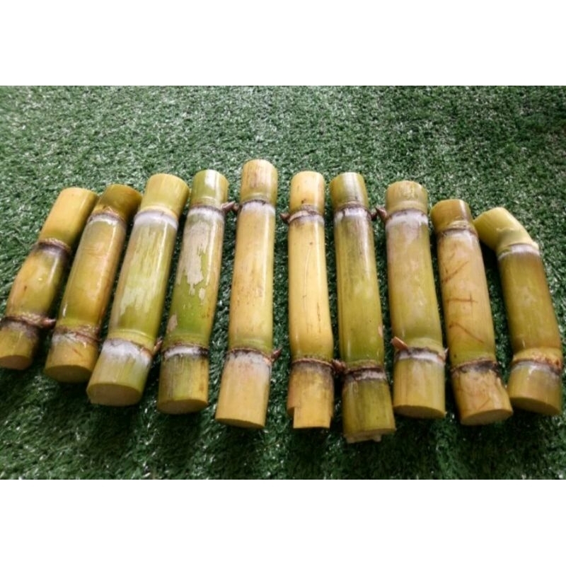 ท่อนพันธุ์อ้อยคั้นน้ำเหลืองสิงคโปร์น้ำผึ้ง 12 ท่อน 24 ข้อตา
