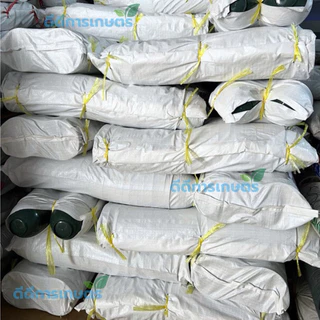ถ้วยยางพาราสีเขียว 1600cc หนาพิเศษ (ห้ามสั่งรวมกับลวด)