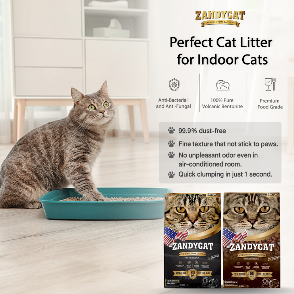 รูปภาพ 5