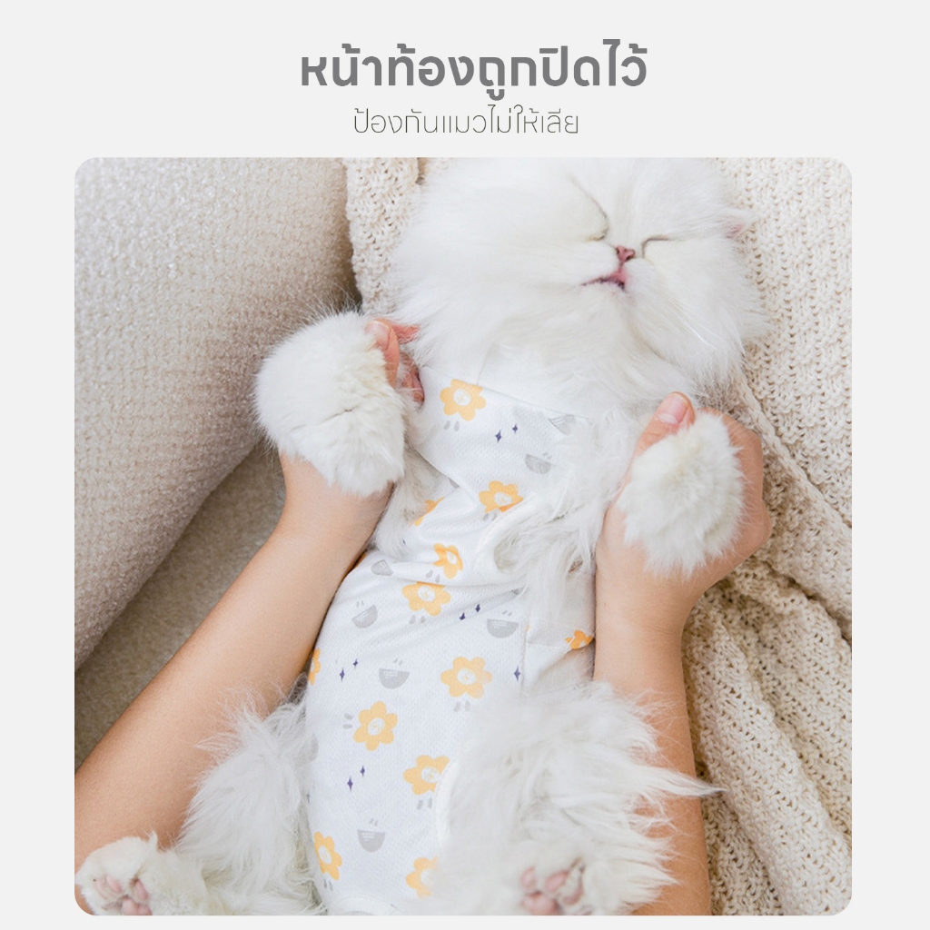 yoyopet ملابس ما بعد العملية للقطط قطن — صورة 6
