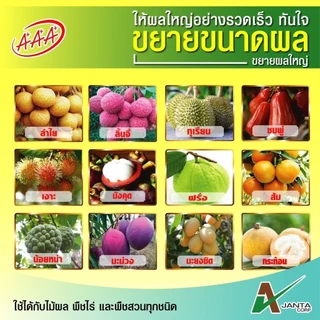 ปุ๋ยขยายลูก เร่งสี เข้าเนื้อ จัมโบ้ AAA กล่องเหลือง ขยายผล สร้างเนื้อ เข้าสี เอเจนต้า คอร์ป