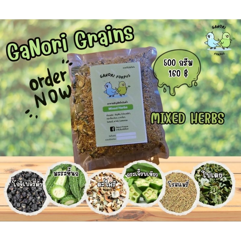 อาหารธัญพืชไขมันต่ำ GaNori Grains (อาหารนก/อาหารนกแก้ว/ฟอพัส/ค้อกคาเทล/หงส์หยก/เลิฟเบิร์ด/ไลโอเลต) - 500 กรัม