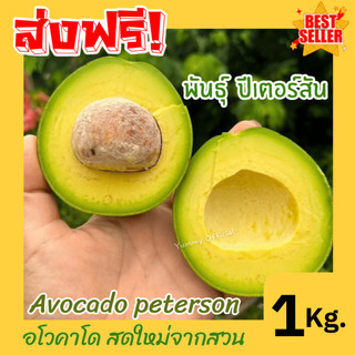 อโวคาโด พร้อมส่ง 1Kg. พันธุ์ปีเตอร์สัน ผลไม้ตามฤดูกาล พร้อมส่ง เก็บสดใหม่จากสวน เนื้อแน่น อร่อย อะโวคาโด้ อโวคาโด้