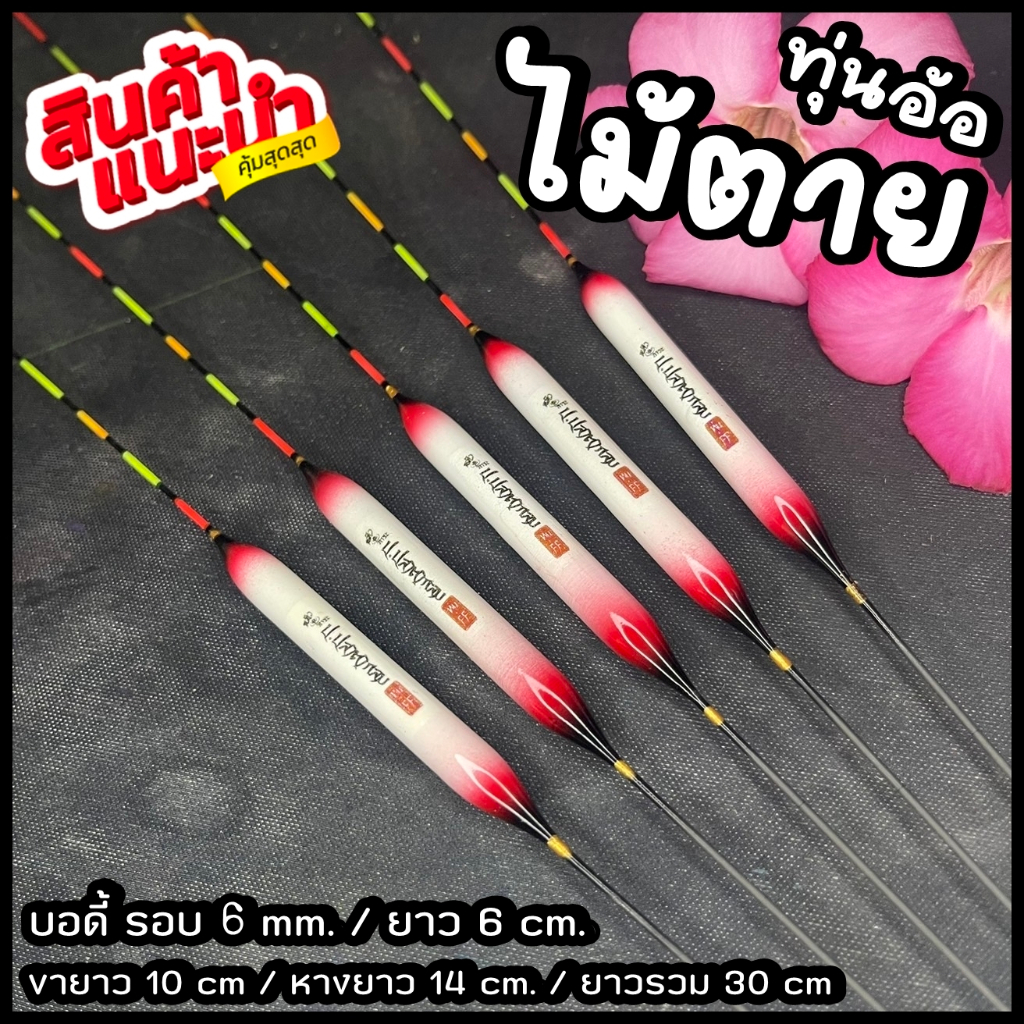 ทุ่นอ้อ ไม้ตาย หางตัน (อาการถอน ตอกชัดเจน) ทุ่นชิงหลิว ป.ปลาตากลม