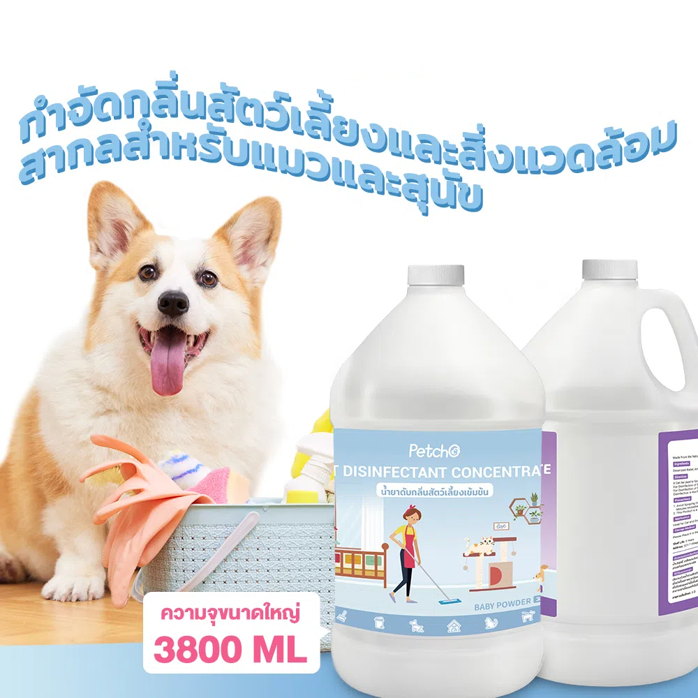 Petcho น้ำยาฆ่าเชื้อสัตว์เลี้ยงแบบเข้มข้น 1000/3800ml
