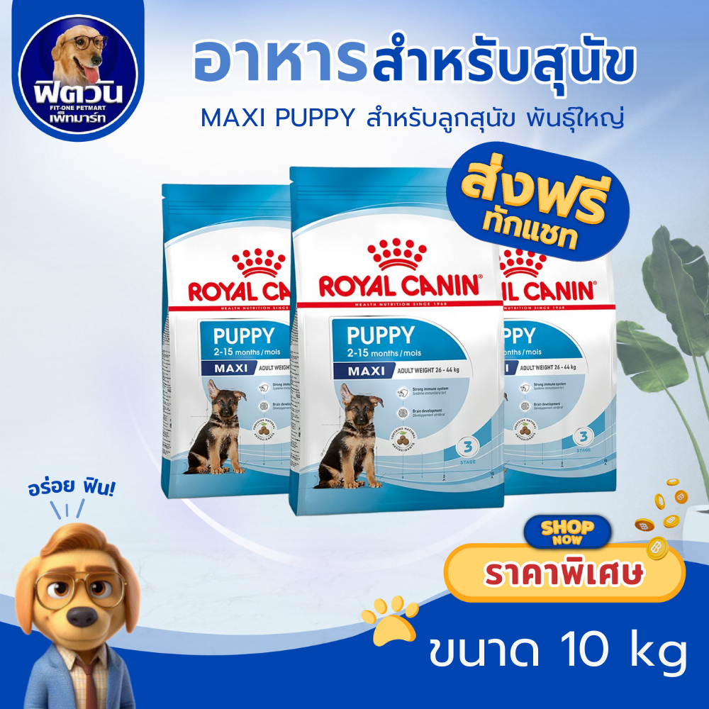 ROYAL CANIN MAXI PUPPY ลูกสุนัขอายุ 2-15 เดือน พันธุ์ใหญ่ 10 กิโลกรัม{อาหารสุนัขเม็ด}