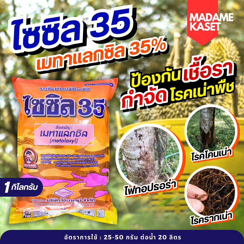 ไซซิล (เมทาแลกซิล 35%) เนื้อชมพู 1 กิโลกรัม ป้องกันและกำจัดเชื้อรา โรคเน่า โคนเน่า รากเน่า ไฟทอปธอร่าในทุเรียน