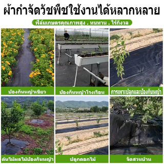ผ้าคลุมดิน พลาสติกคลุมดิน พลาสติกคลุมวัชพืช พราสติกคลุมดิน ผ้าคลุมวัชพืช คลุมวัชพืช น้ำซึมผ่านได้ 5 เมตร 10 เมตร