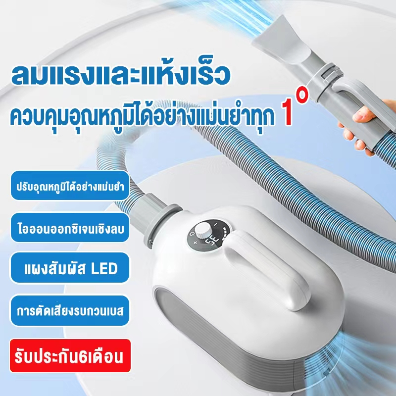 Pet drying box กล่องอบแห้งสัตว์เลี้ยง เครื่องเป่าแมวที่บ้าน เป่าขนแมว ไดร์ขนสุนัข เครื่องเป่าขนสัตว์เลี้ยงอัตโนมัติ