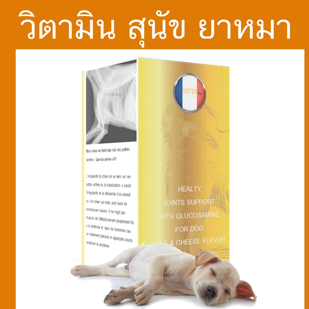 สุนัขชีวาวาขาหลังไม่มีแรงเดินไม่ได้ สุนัขขาหลังอ่อนแรง pantip