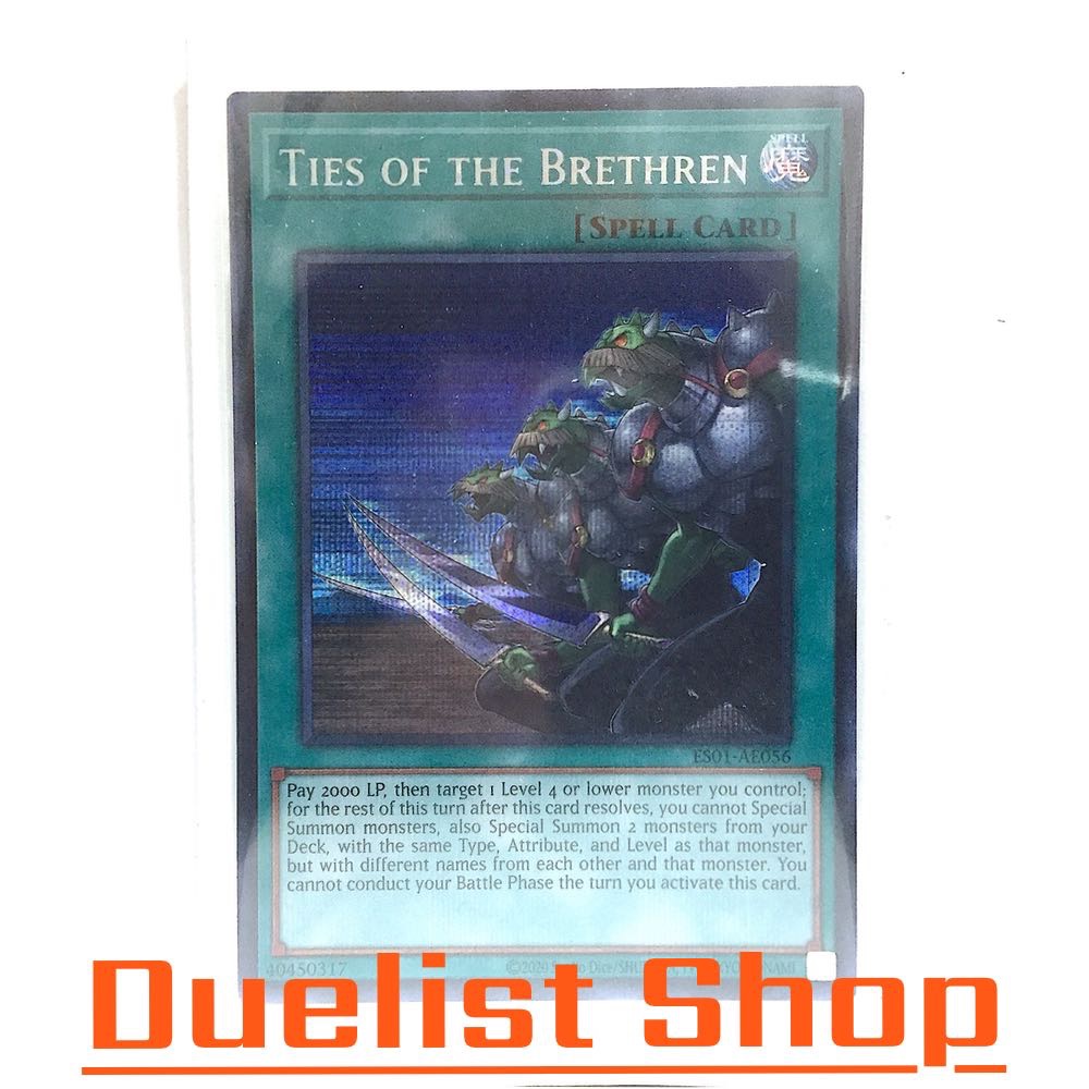 Ties of the Brethren (SE) Spell [Normal] ชุด ES01-AE056 การ์ดยูกิโอ (Yu-Gi-Oh!) OCG Asia ENG