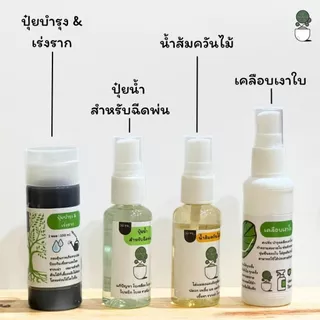 ช่องาม กำจัดเชื้อรา แบคทีเรีย ปุ๋ยน้ำ น้ำส้มควันไม้ ป้องกันเชื้อรา ยาปราบศัตรูพืช ไม้ดอกไม้ประดับ พืชทุกชนิดชีวภาพสเปรย์