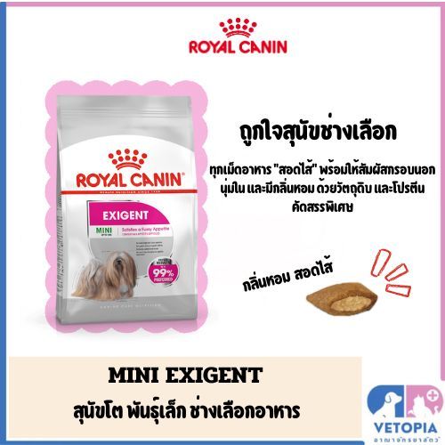 Royal canin Exigent mini 1-3kg. สุนัขโต พันธุ์เล็ก เลือกกินและกินยาก