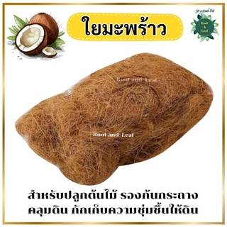 ใยมะพร้าว วัสดุคลุมดินจากธรรมชาติ100% สำหรับรองก้นกระถาง คลุมดิน ช่วยกักเก็บความชุ่มชื้นให้ดิน พร้อมส่ง!!