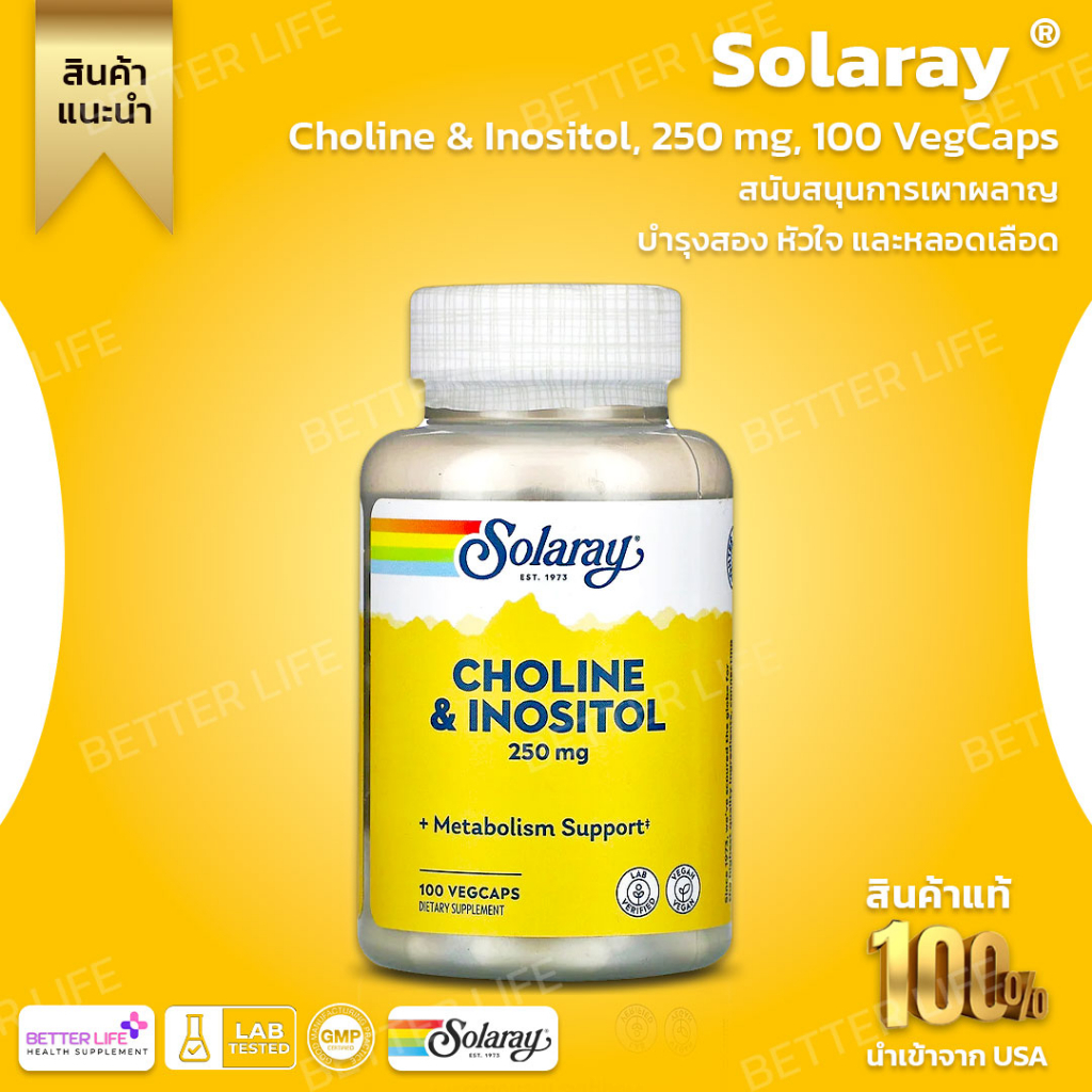 Solaray, Choline & Inositol, 250 mg, 100 VegCaps(No.3213)