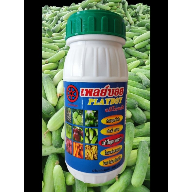 ผสมเทียมเพลย์บอย ช่วยให้รังไข่แข็งแรง ผสมติดดี ลดปัญหา การหลุดร่วง ขนาด 500ซีซี