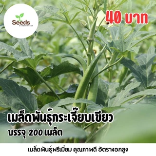 เมล็ดพันธุ์กระเจี๊ยบเขียว บรรจุ 200 เมล็ด