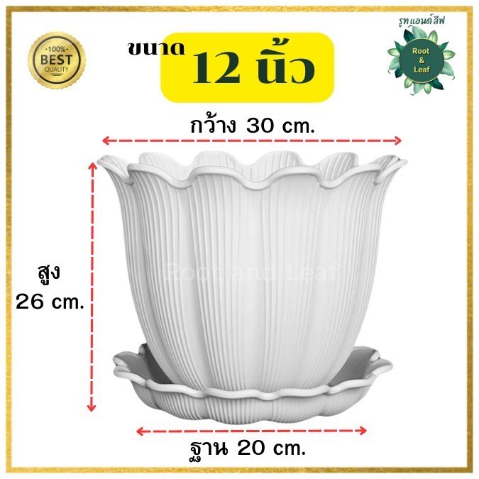 กระถางบิวตี้ ขนาด 12 นิ้ว กระถางพร้อมจานรอง พลาสติกหนา แข็งแรง ทนทาน น้ำหนักเบา - รูปที่ 3