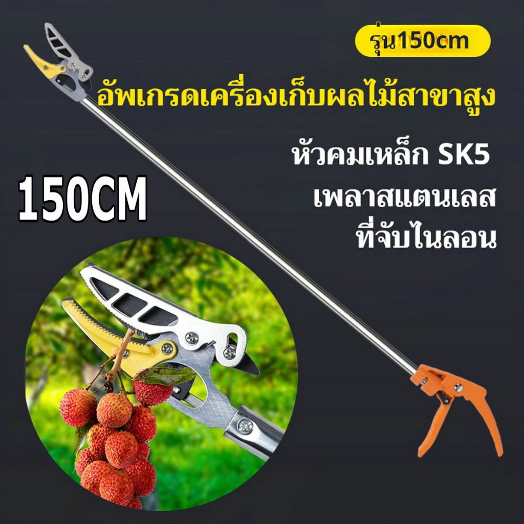 SOLO ของแท้ กรรไกรตัด-หนีบผลไม้ ยาว1.5-4 กรรไกรตัดหนีบผลไม้ด้ามยาว กรรไกร กรรไกรตัดกิ่ง กรรไกรแต่งกิ่งไม้ ตัดกิ่งไม้ กรร