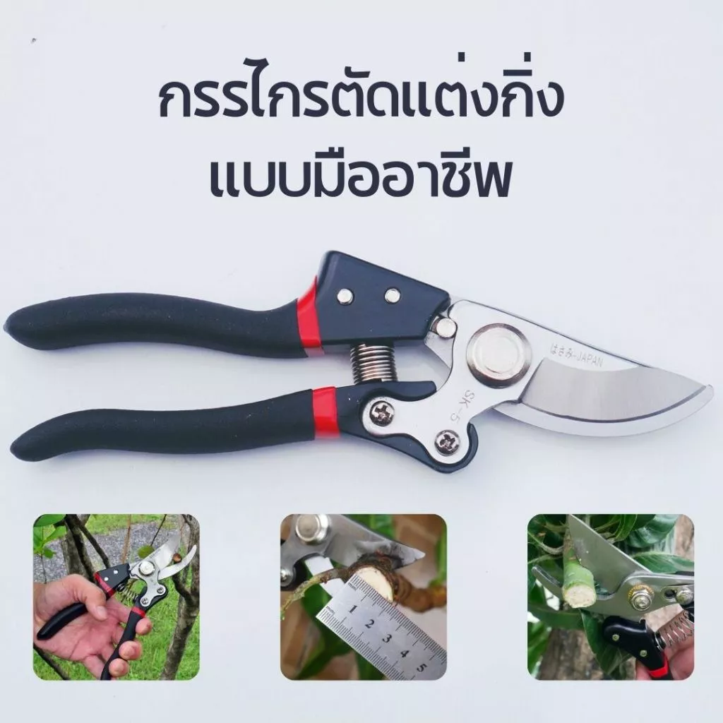[ซื้อ2แถม1] กรรไกรตัดแต่งกิ่งไม้จากญี่ปุ่น ขนาด 8 นิ้ว เหล็ก SK-5 Japan