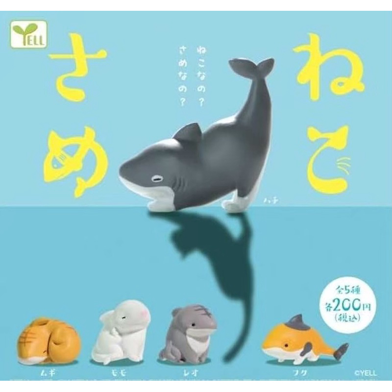 🅟🅕 กาชาปองน้องแมวเนียนมาอยู่ในร่างฉลาม 🦈🐈🐈‍⬛🦈 Nekosame Cat Shark mascot Figure gashapon