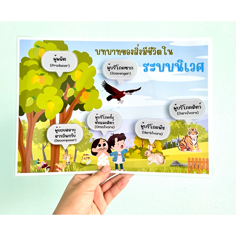 บทของสิ่งมีชีวิตในระบบนิเวศ ระบบนิเวศ สื่อการสอนวิทยาศาสตร์