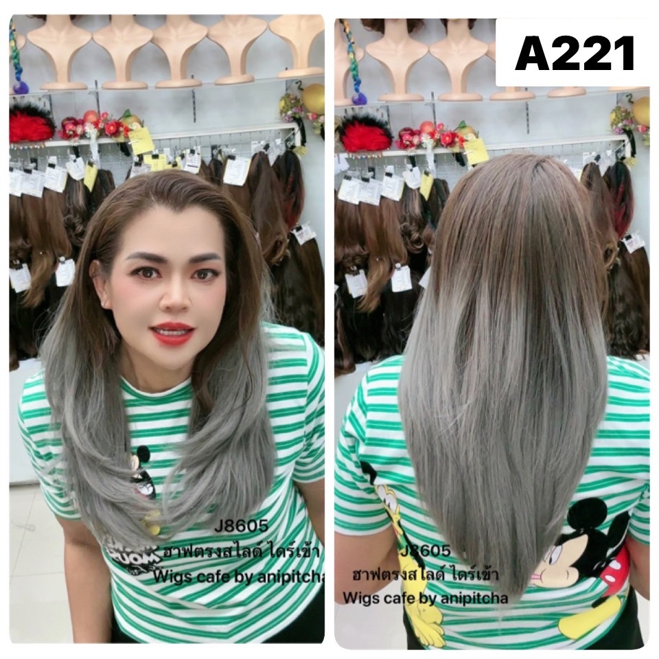 A221-A224 ฮาฟวิกเสียบ รุ่น J8605-55cm.