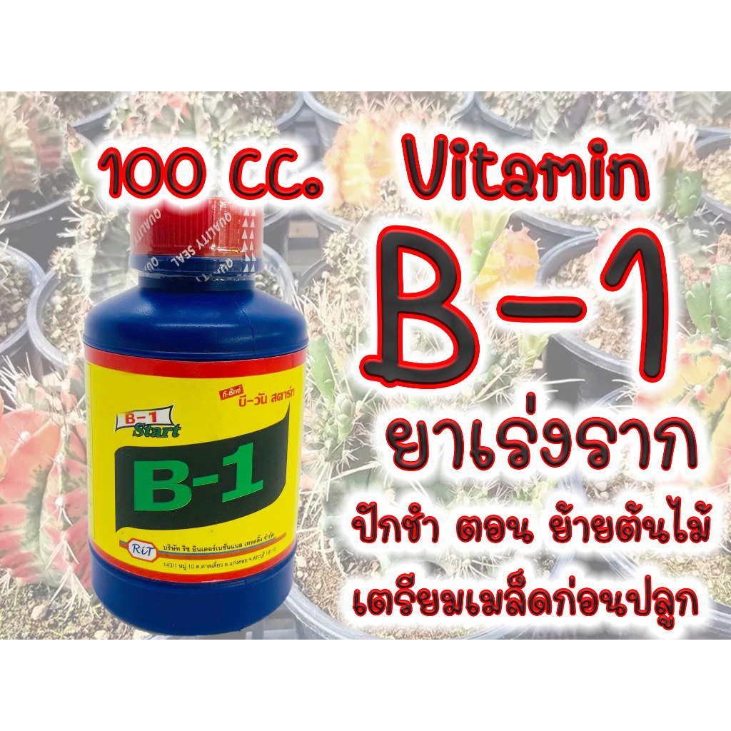 B1 น้ำยาเร่งราก ขนาด 100 500 cc. เร่งราก เเคคตัส กระบองเพชร ต้นไม้ทุกชนิด บำรุงราก