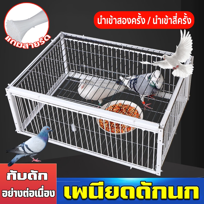 เพนียดดักนก กรงดักนก กรงกับดักนกพิราบ เข้าได้แต่ออกไม่ได้ ที่ดักนก กรงต่อนก อัตราความสำเร็จ 100% แข็งแรงและทนทาน