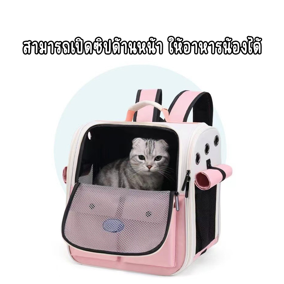 กระเป๋าเป้ใส่สัตว์เลี้ยง พับเก็บได้ ระบายอากาศได้ หน้าต่างกันสาดสองด้าน กระเป๋าสะพายแมว รูปที่ 8