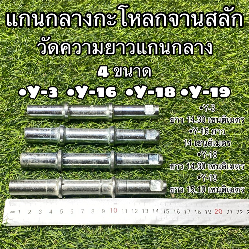 แกนกลางกะโหลกจานสลัก