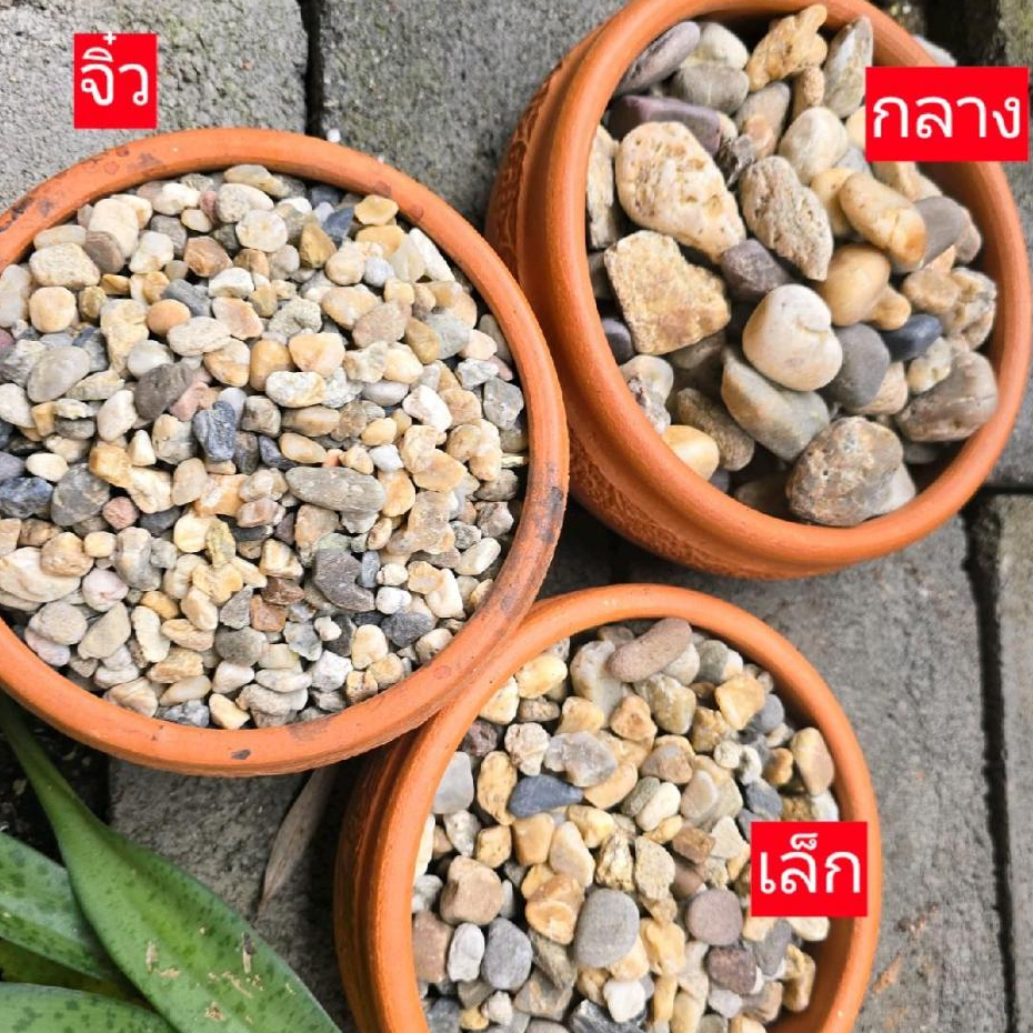 หินแม่น้ำ หินธรรมชาติ ตกแต่งอ่างปลา ตู้ปลา สวน กระถางต้นไม้ ตกแต่งบ้าน (มี 3 ขนาด)