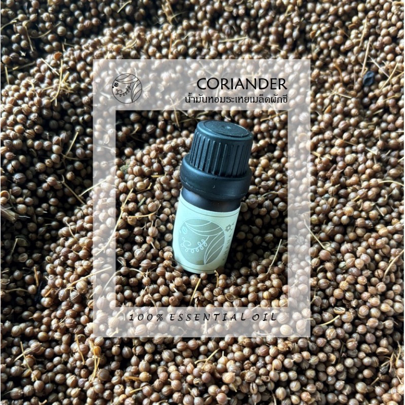 น้ำมันหอมระเหยเมล็ดผักชี ชานาญา CHANAYA Coriander 100% Essential oil